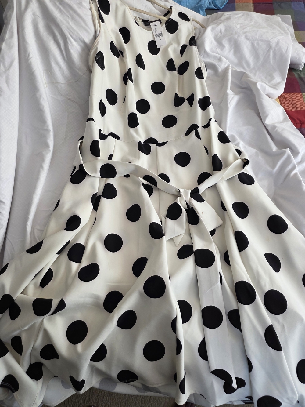 Lane Bryant Black Polka Dot Maxi Dress on White